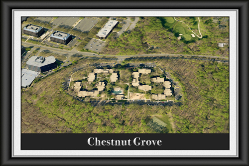 Chestnut Grove Condominium - Reston, Virginia 