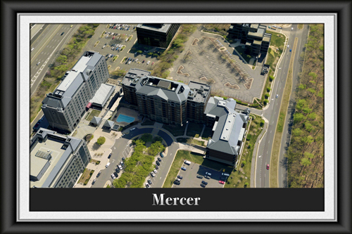 Mercer Condominium - Reston, Virginia