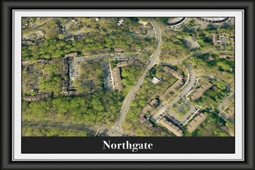 Northgate Condominium -  Reston Virginia